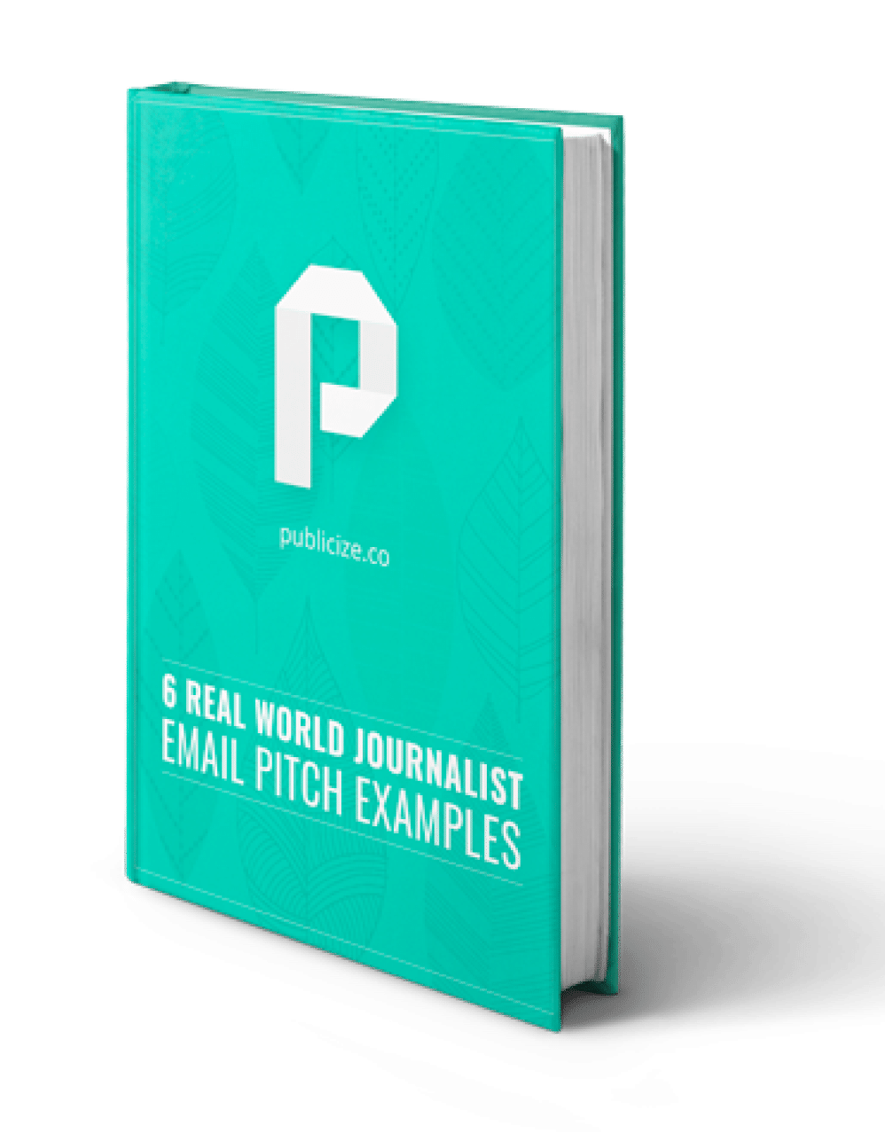 6 Real World Journalist Email Pitch Examples book